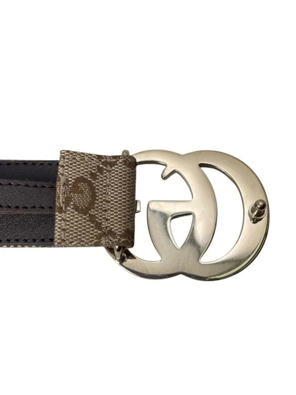 Gucci brand name